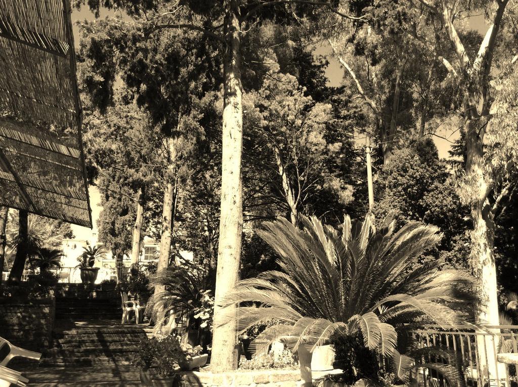 Hotel Eden Perdifumo Dış mekan fotoğraf